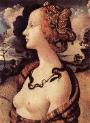 Piero di Cosimo Portrat of Simonetta Vespucci oil on canvas